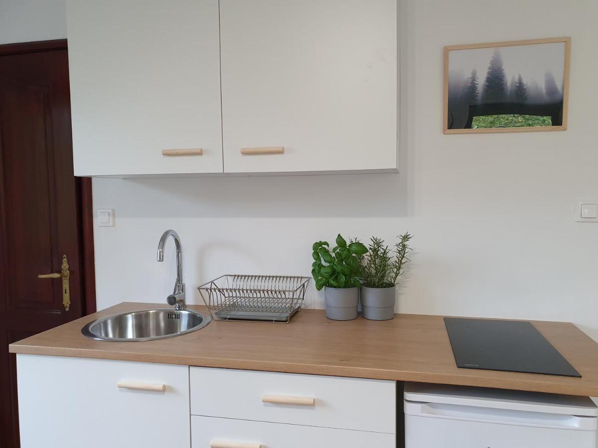Studio Zubrova Apartment *