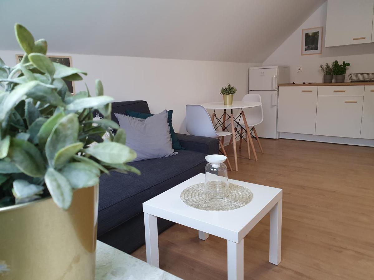 Studio Zubrova Apartment *