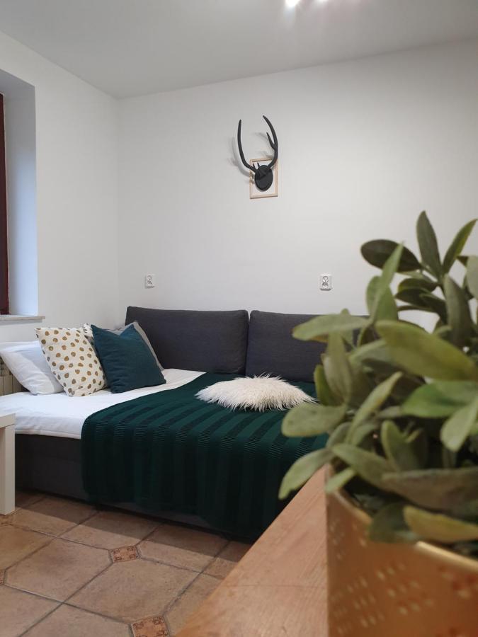 Apartment Studio Zubrova