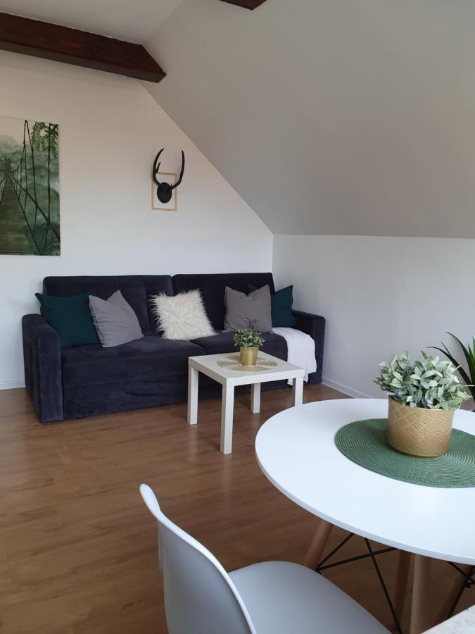 Studio Zubrova Apartment *