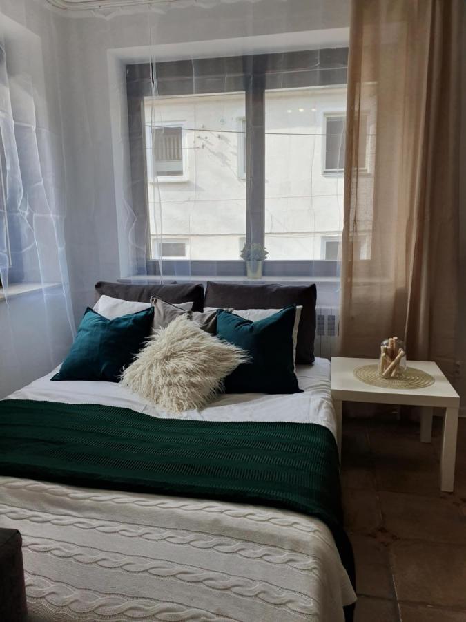 Studio Zubrova Apartment
