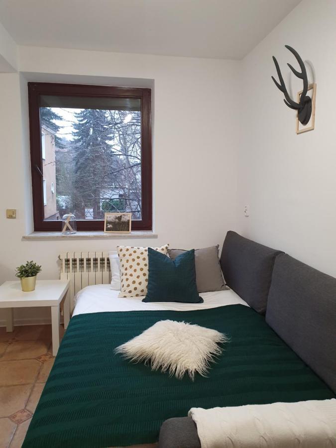 Studio Zubrova Apartment *