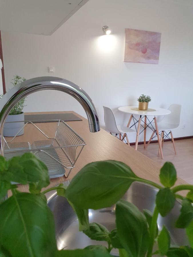 Apartment Studio Zubrova *