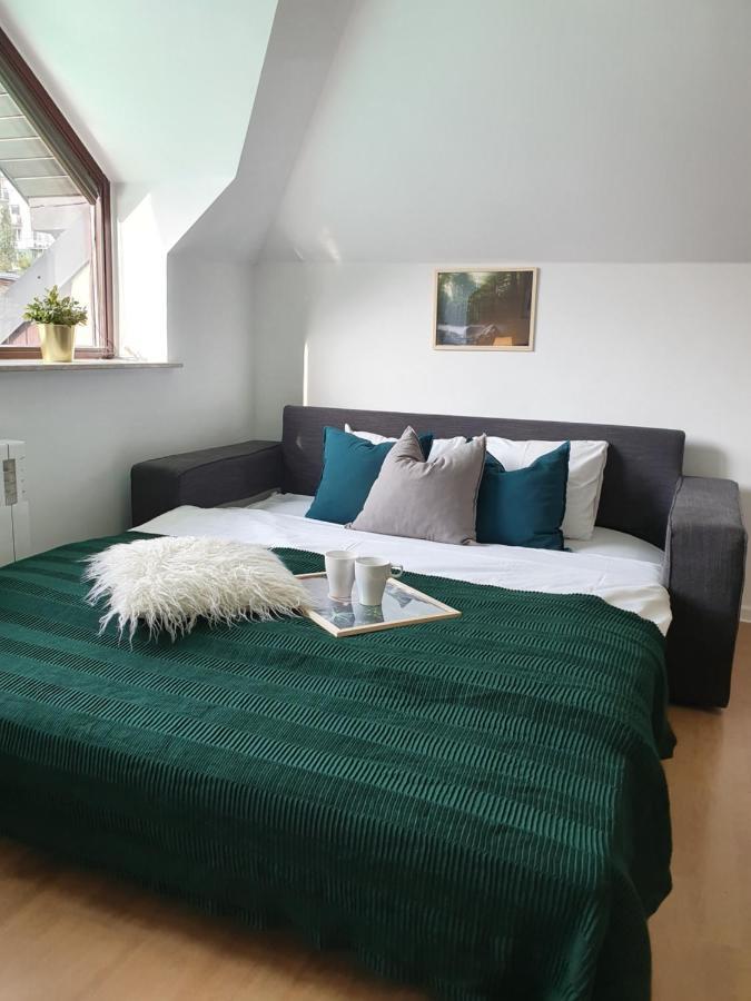 Studio Zubrova Apartment *