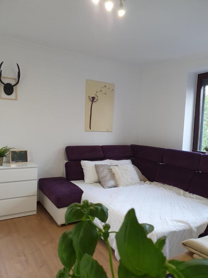 Lejlighed Studio Zubrova Gdańsk